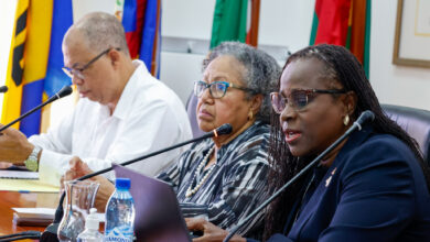 Photo of CARICOM labour ministers agree to unified position ahead of International Labour Conference