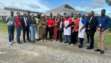 Photo of Moving CSME Forward: Young Professionals Equipped as CSME Ambassadors