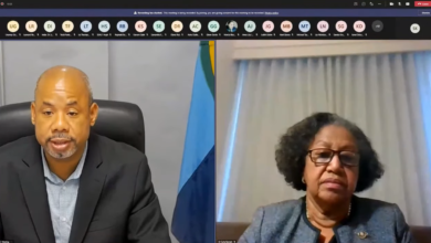 Photo of Opening Remarks by the Secretary-General, CARICOM Dr Carla Barnett at the CARICOM Ministerial Preparatory Meeting ahead of the 26th Session of the Conference of the Parties (COP26) of the United Nations Framework Convention on Climate Change (UNFCCC)