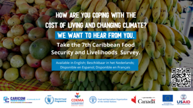 Photo of Seventh round of Caribbean Food Security and Livelihoods Survey launched