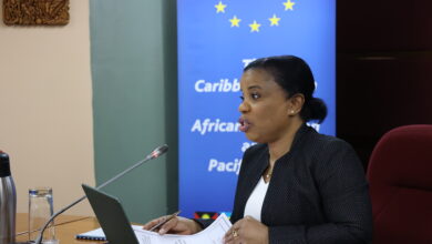 Photo of CARIFORUM conducts review of EU-funded Regional Technical Cooperation Facility