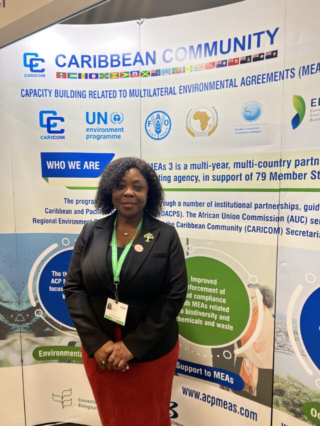 Amb. Sherry Tross, High Commissioner to Saint Kitts and Nevis in Canada