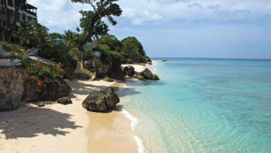 Photo of Barbados to organise meeting of the Forum of Ministers of Environment of Latin America and the Caribbean