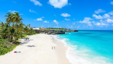 Photo of Barbados lauded by IMF on economic reform: CARICOM BUSINESS