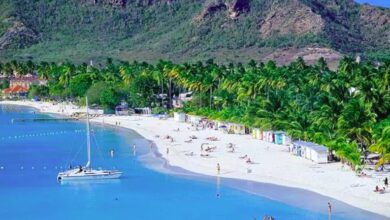 Photo of Barbados: Arrivals rising in tourism sector –  CARICOM BUSINESS