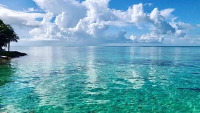 Photo of CARICOM’s rich biodiversity remains answer to several sustainable development challenges