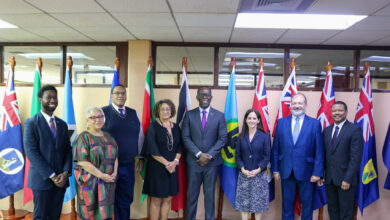 Photo of CARICOM, UNDP Officials engage on 2024 Programme of Work