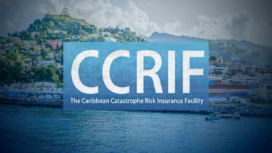 Photo of CCRIF offers 31% discount for hurricane insurance: CARICOM BUSINESS