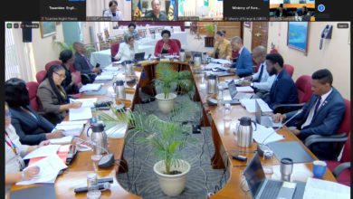 Photo of Foreign affairs officials advanced preparations for ministerial talks in Dominica