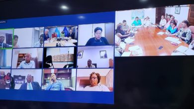 Photo of Working Group established to concretise recommendations for a Regional Response to Covid-19