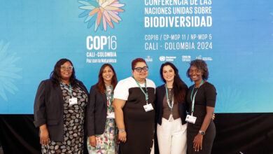 Photo of CARICOM, UNEP-WCMC hold talks on margins of COP16