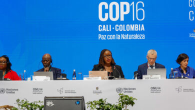 Photo of CARICOM at ‘pivotal’ COP16