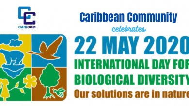 Photo of As World observes International Biodiversity Day CARICOM calls for action to address biodiversity loss