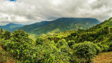 Photo of Caribbean Climate Risk Brief Launched