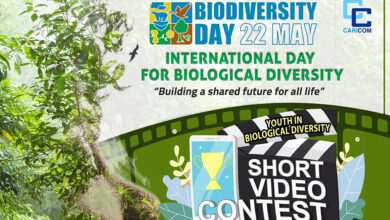 Photo of Short Video Contest- Youth in Biological Diversity