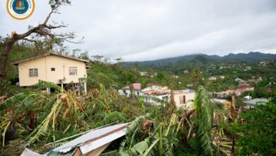 Photo of Hurricane Beryl’s impact on regional food security plan must be addressed comprehensively – CARICOM Lead Head on Agriculture