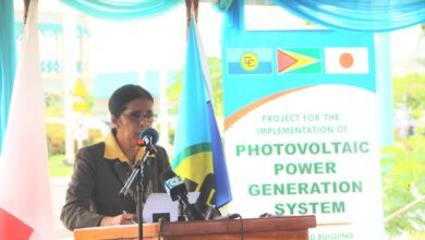 Photo of DSG Ambassador Manorma Soeknandan Demits Office