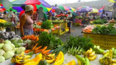 Photo of CARICOM Covid-19 Response Agri-Food Plan