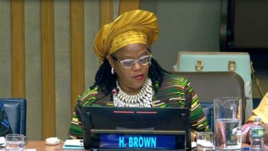 Photo of “CARICOM-African Union is an essential alliance for realising the reparations claim” – Dr Hilary Brown