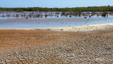 Photo of Concerns over drought in the Region