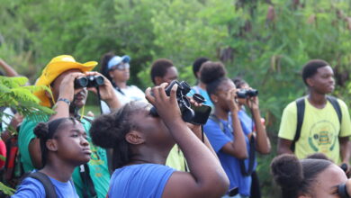 Photo of Antigua and Barbuda’s CARICOM Youth Ambassador spearheads project to protect mangroves, educate youth, and build climate resilience