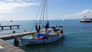 Photo of CARICOM Secretariat to develop sustainable ocean management framework