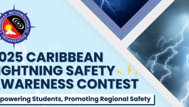 Photo of Closing date extended for Lightning Safety Awareness Contest