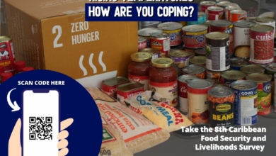 Photo of CARICOM, Partners Continue Collaboration to understand State of Caribbean Food Security  