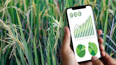 Photo of Caribbean Food Security Survey Results Launch!