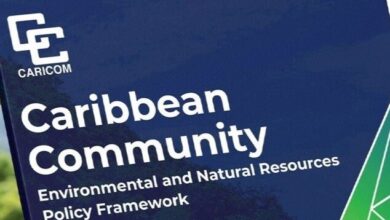 Photo of CARICOM Environmental and Natural Resources Policy Framework launched at Special COTED
