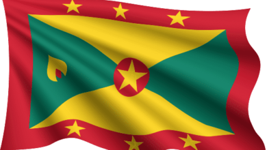 Photo of Grenadians head to the polls 23 June