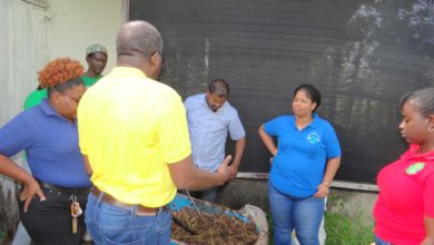 Photo of Creating Economic Opportunities for Organic Waste Management Sectors