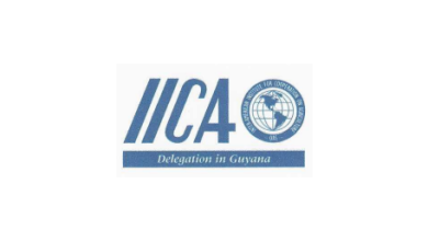 Photo of Wilmot Garret, IICA Representative in Guyana/CARICOM Liaison, Inter-American Institute for Cooperation on Agriculture