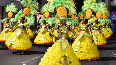 Photo of Caribbean Leaders Urged to Diversify Creative Economy Post-COVID