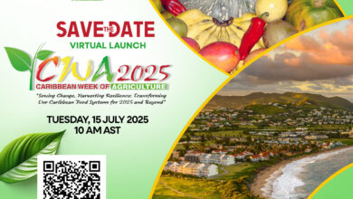 Photo of CWA 2025 launches 15 July