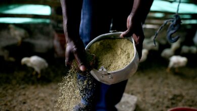 Photo of Laying the Foundation for Better Results Through Monitoring and Evaluation: The Caribbean Community Secretariat and the Independent Evaluation Group of the World Bank Announce Partnership to Collaborate Around Better Policy Results