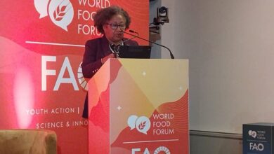 Photo of Closing Remarks by Dr. Carla Barnett, Secretary-General, CARICOM | The Caribbean Delegation Presentation of the Caribbean Regional Initiative| The Hand in Hand Investment Forum | Rome, Italy | 15 October 2024