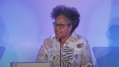 Photo of Remarks by Dr. Carla Barnett, CARICOM Secretary-General, at the Plenary Meeting of the Fourth International Conference on Small Island Developing States