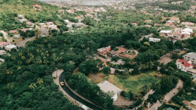 Photo of Saint Lucia approves incentives for 20 new tourism projects – CARICOM Business