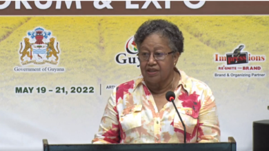 Photo of Remarks by  Dr. Carla N. Barnett Secretary-General of  the Caribbean Community at the CARICOM YOUTH IN AGRICULTURE DIALOGUE during the AGRI-INVESTMENT FORUM AND EXPO