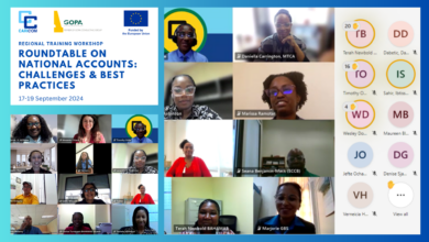 Photo of Remarks by Halim Brizan, Director, Regional Statistics Programme, CARICOM Secretariat | Virtual Regional Workshop on National Accounts | 17-19 September 2024