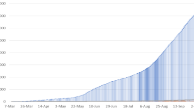 Photo of Special Topic Statistical Bulletin on COVID-19 in CARICOM Countries