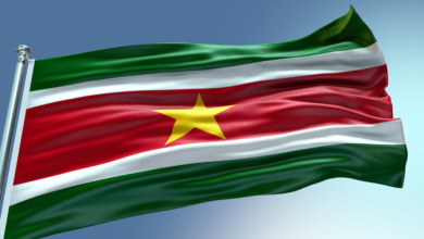 Photo of Preliminary Statement | CARICOM Election Observation Mission to the 2025 General Elections in the Republic of Suriname