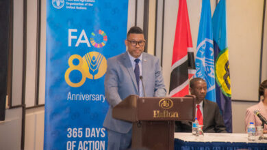 Photo of Food security and nutrition in focus at statistics workshop