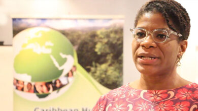 Photo of Workshop participants pleased with prep for CBD COP