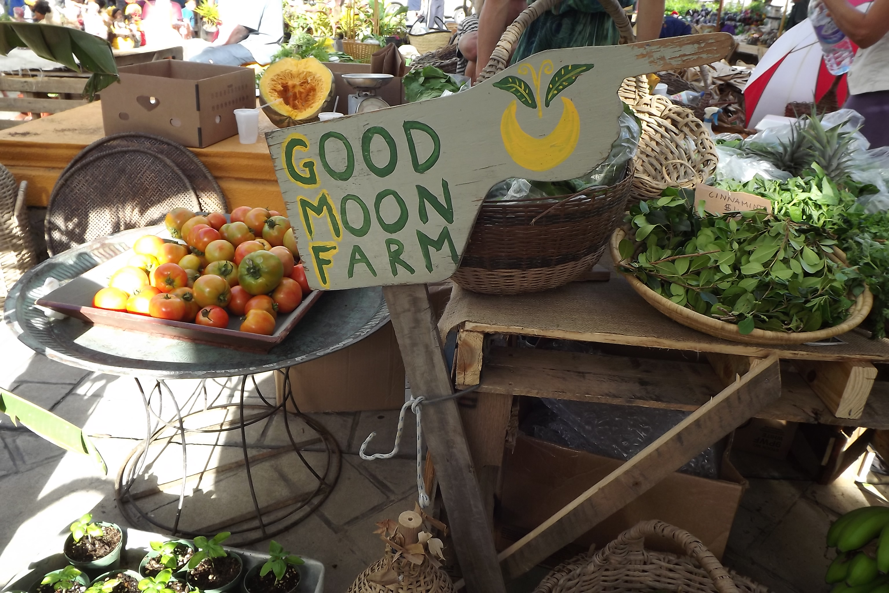 Photo of CARICOM’s e-agriculture strategies