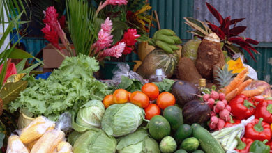 Photo of Action Committee on Food and Nutrition Security holds inception meeting