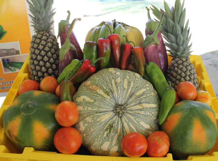 Photo of Caribbean Week of Agriculture 2016 in Cayman Islands