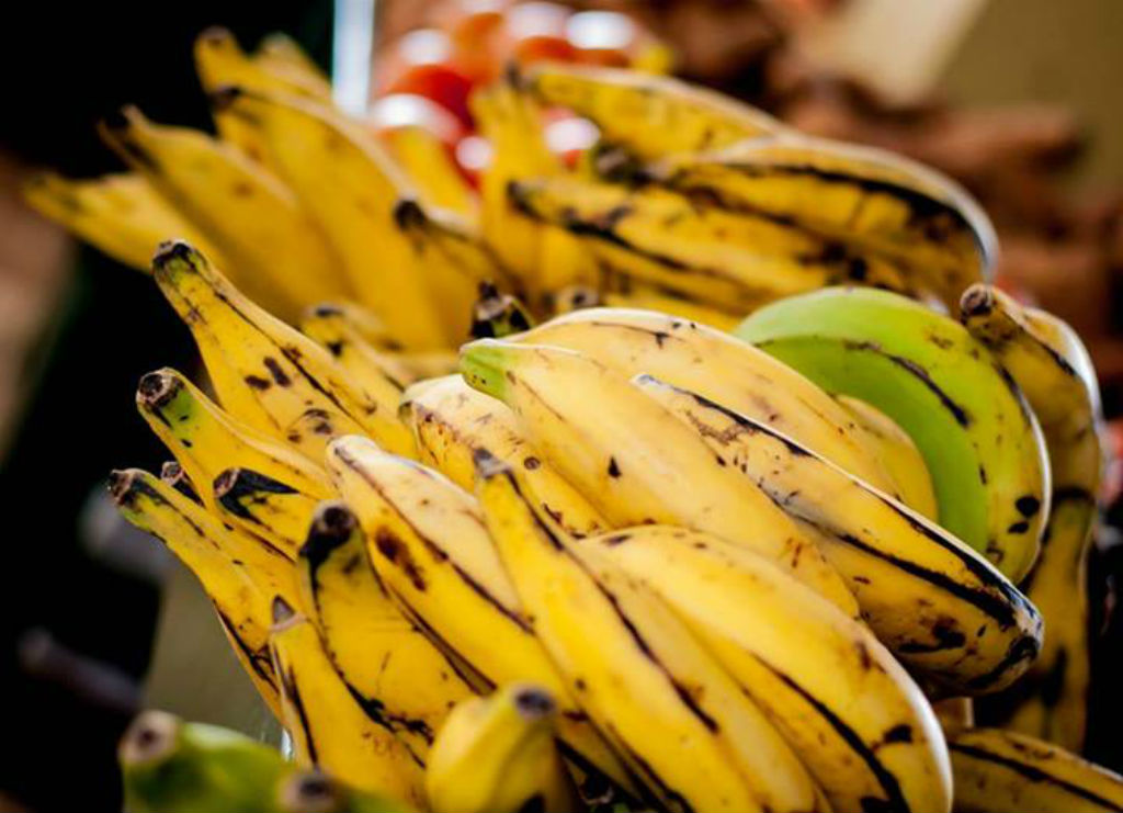 Photo of CWA preparations well advanced