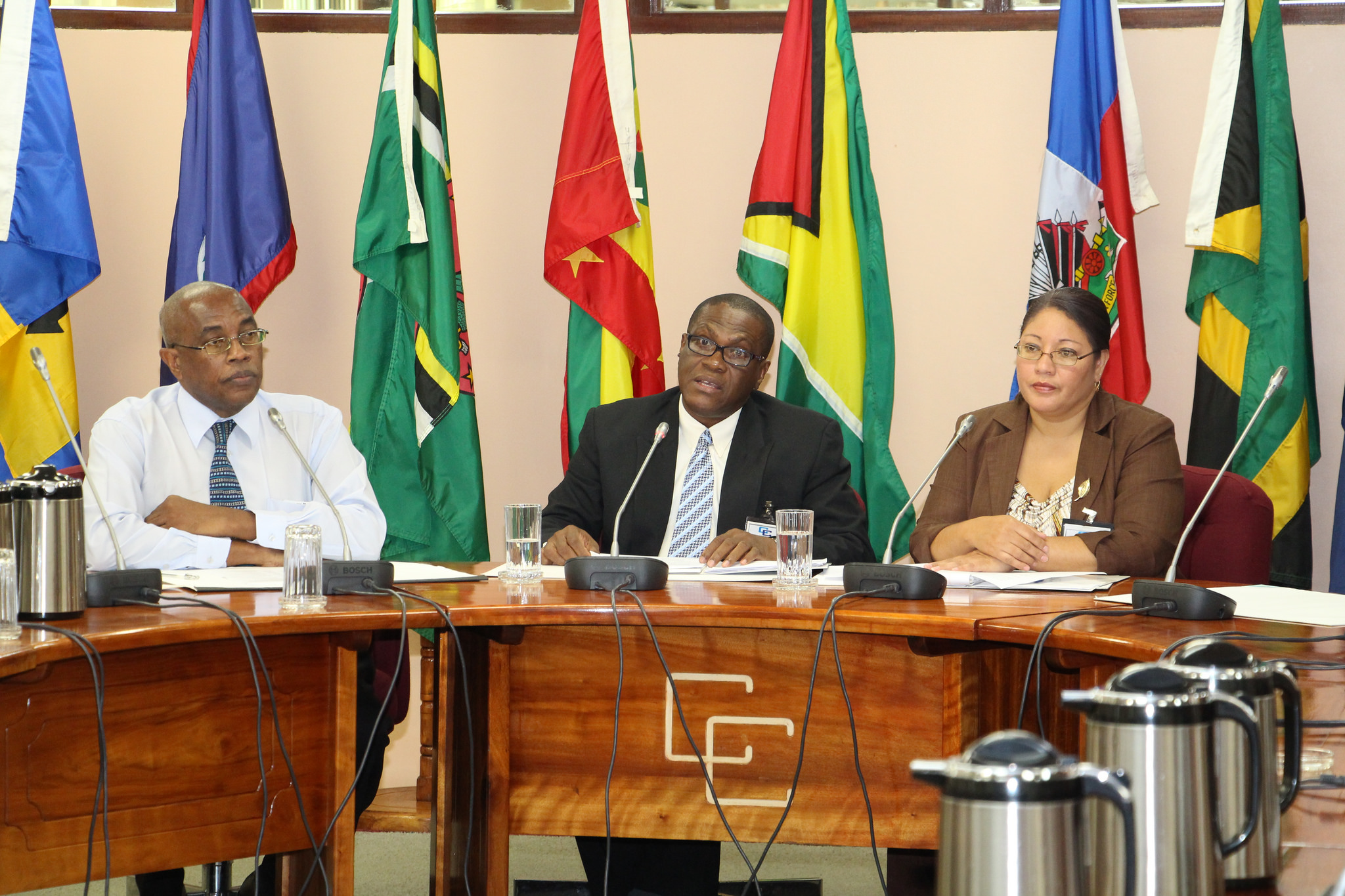 Photo of Arrival Statement By Chief Of Mission CARICOM Election Observation Mission  to The General Elections Of Guyana, 11 May 2015
